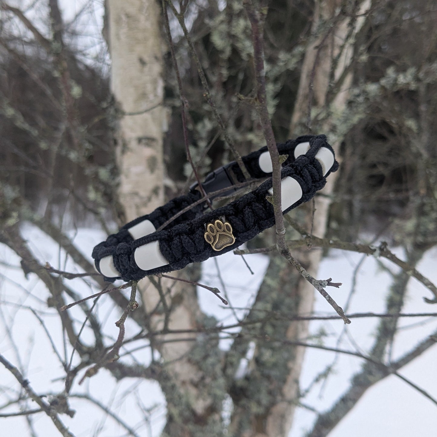 Fästing avvisande halsband EM-pärlor