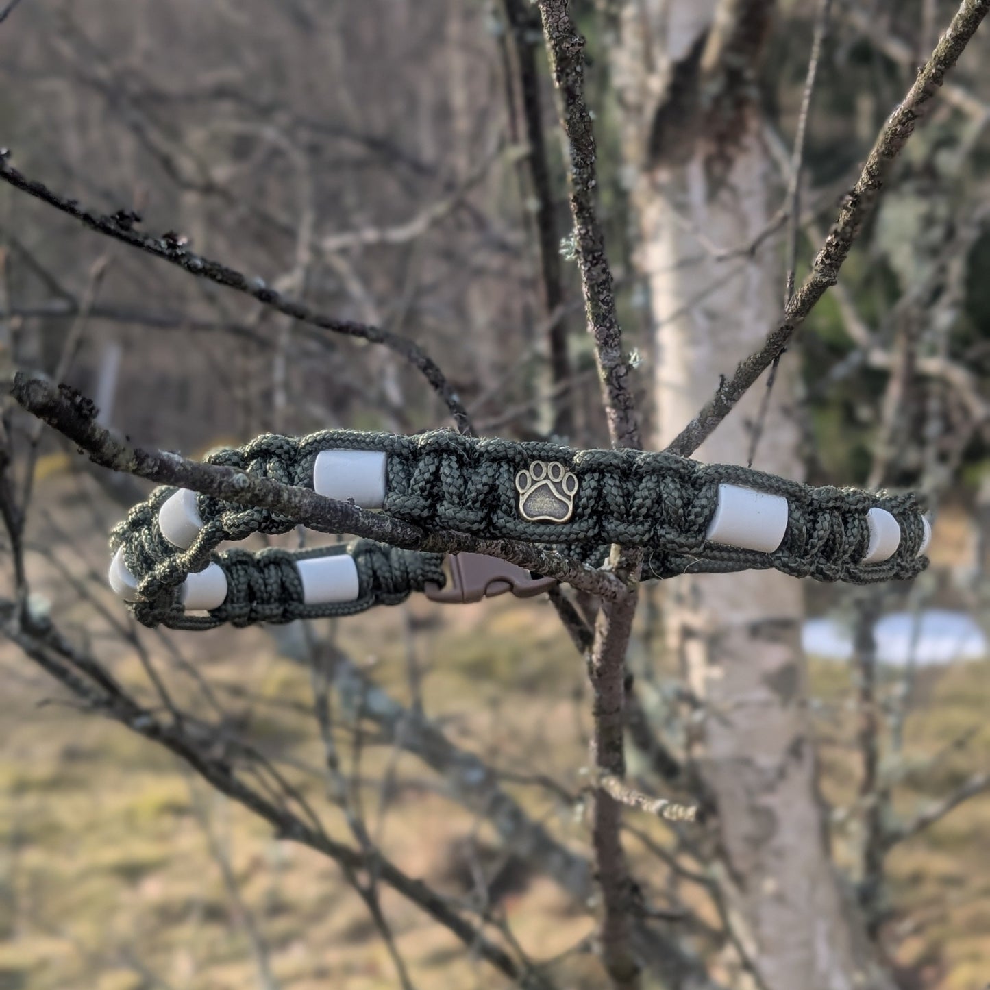 Fästing avvisande halsband EM-pärlor