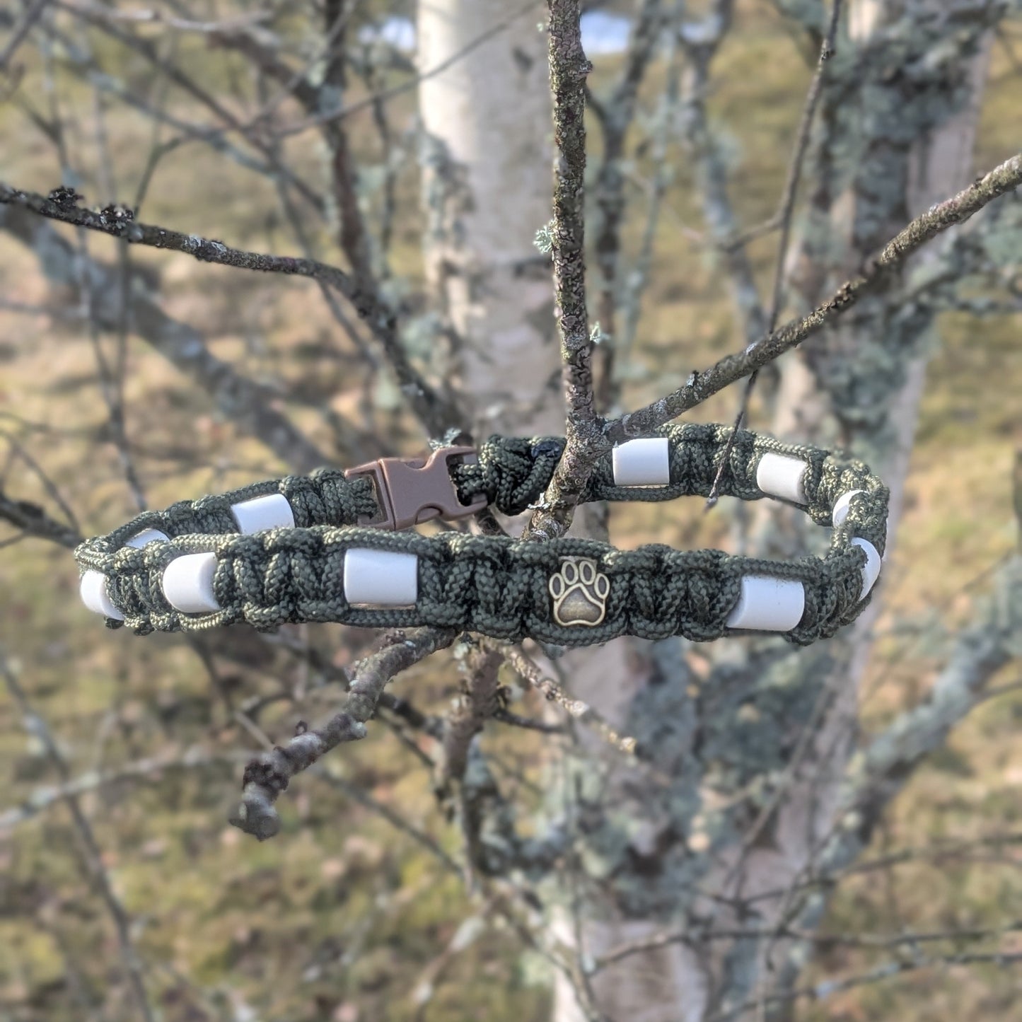 Fästing avvisande halsband EM-pärlor